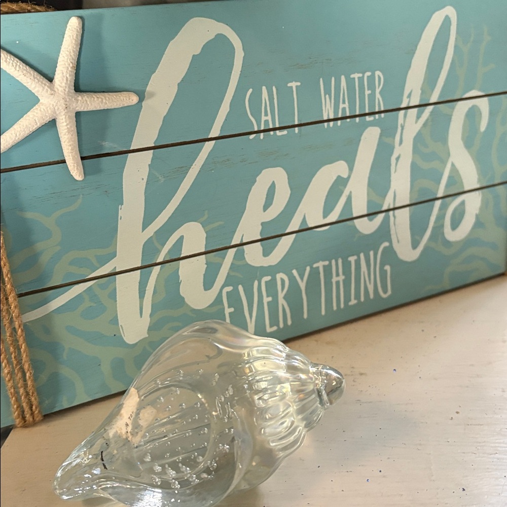 Iridescent Seashell Display